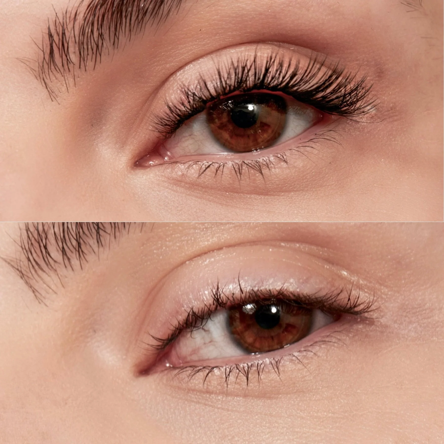 Lash Lash 'Maye 6' Individual Lashes - Image 3