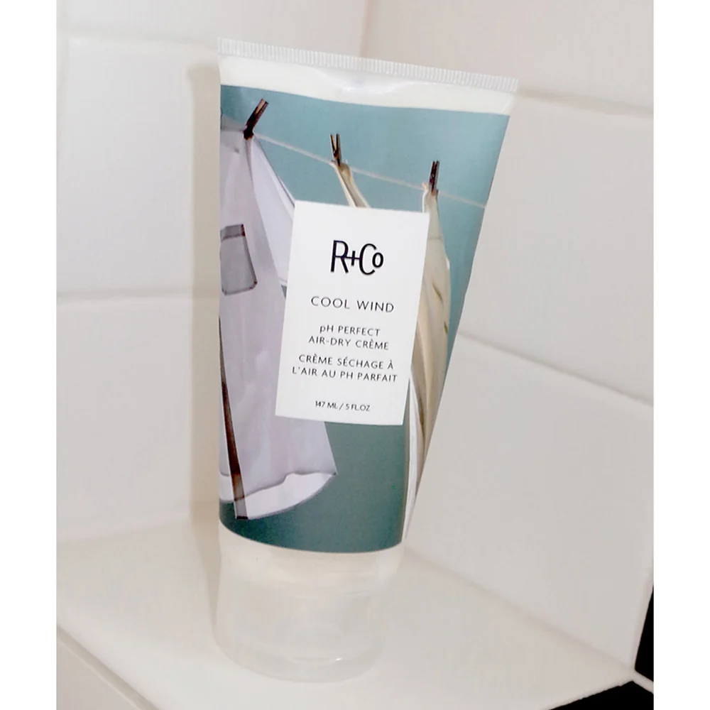 R+Co Cool Wind Ph Perfect Air Dry Crème - Image 2